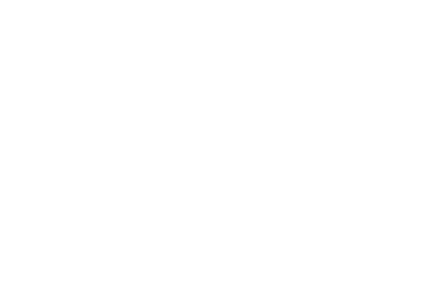 BabilSoft Information Systems